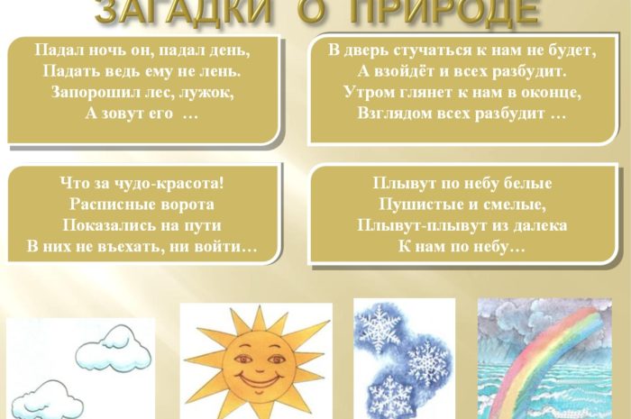 Турнир знатоков экологии «Полна загадок чудесница природа»